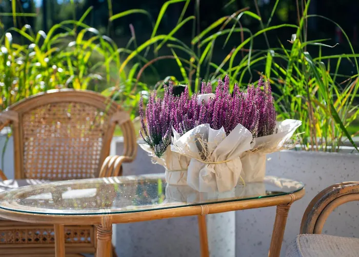 Lola Przy Stoku By Welcome